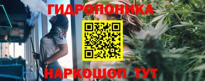 ГАЛЛЮЦИНОГЕННЫЕ ГРИБЫ Ликино-Дулёво