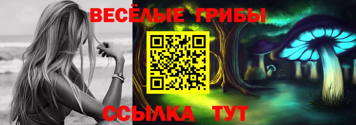 Зеленодольск  Псилоцибиновые грибы мицелий  Вход с VPN  Галлюциногенные грибы MAGIC MUSHROOMS 